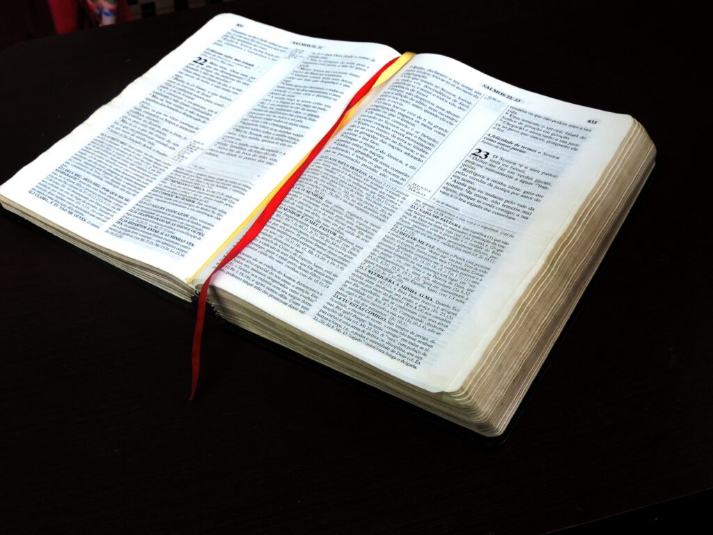 como hacer para leer la biblia todos los dias